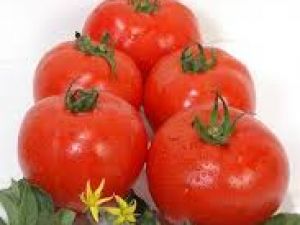 Aytina F1 Domates Tohumu 3000AD