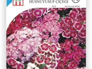 Hüsnüyusuf Çİçek Tohumu