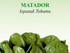 Matador Organik Ispanak Tohumu