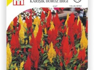 Karışık Horoz İbiği Çiçek Tohumu