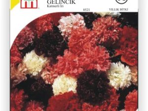 İri Katmerli Gelincik Çiçek Tohumu