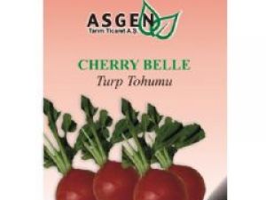 Cherry Belle Turp Tohumu 500GR