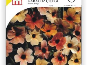 Somon Rengi Karagöz Çiçek Tohumu