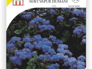 Mavi Vapur Dumanı Çiçek Tohumu