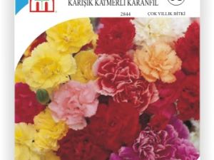 Karışık Katmerli Karanfil Çİçek Tohumu