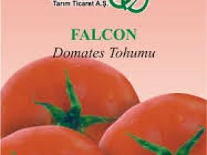 Falcon Domates Tohumu 25GR