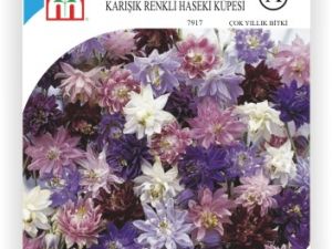 Karışık Renkli Haseki Küpesi Çiçek Tohumu