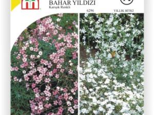Karışık Renkli Bahar Yıldızı Çiçek Tohumu
