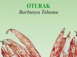 Oturak Organik Barbunya Tohumu