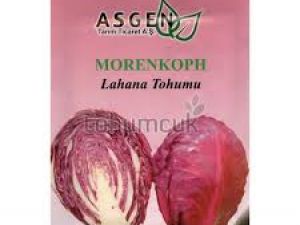 Mohrenkoph (Kırmızı) Lahana Tohumu 10GR