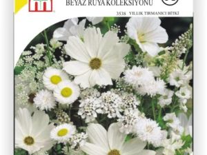 Beyaz Rüya Koleksiyonu Çiçek Tohumu