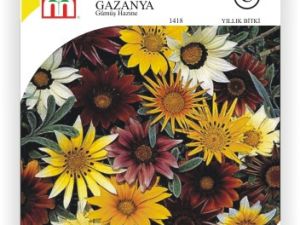 Gazanya Gümüş Hazine Çiçek Tohumu