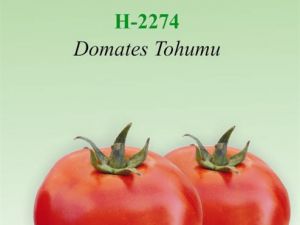 H2274 Organik Domates Tohumu