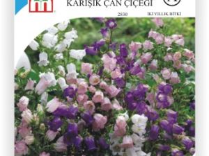 Karışık Çan Çiçek Tohumu