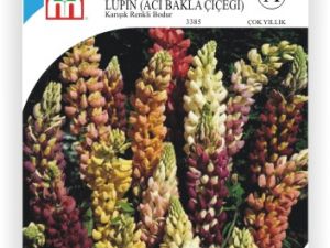 Karışık Renkli Bodur Acı Bakla Çiçek Tohumu