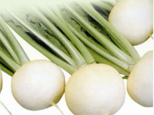 Asbey Turp Tohumu 25GR