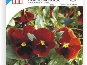 Lekeli Kırmızı Hercai Menekşe Çiçek Tohumu