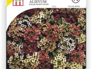 Alisyum Karışık Renkli Afrodit Çiçek Tohumu
