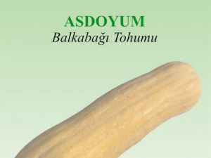Asdoyum Organik Balkabağı Tohumu