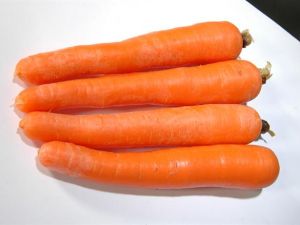Nantes Havuç Tohumu 500GR