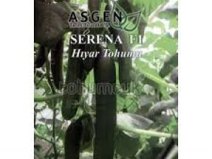 Serena F1 Salatalık Tohumu