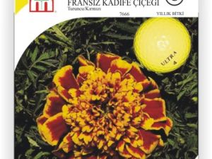 Turuncu Kırmızı Fransız Kadife Çiçek Tohumu