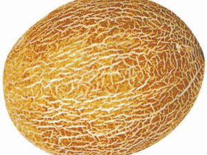 Ananas  Kavun Tohumu 10GR