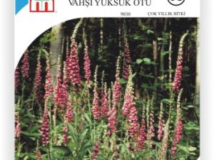 Vahşi Yüksük Otu Tohumu