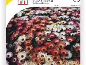 Işıldayan Mücevher Buz Çiçek Tohumu