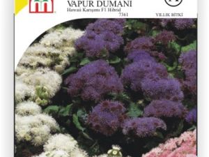 Havai Karışımı Vapur Dumanı Çiçek Tohumu